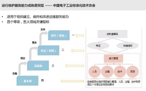 基于ITSS標(biāo)準(zhǔn)的IT運(yùn)維服務(wù)與信息系統(tǒng)集成服務(wù)能力成熟度評估模型研究