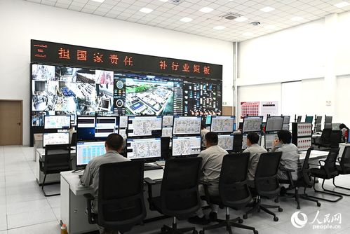 向智向綠，雙輪驅(qū)動(dòng) 技術(shù)咨詢助力中國(guó)硅基材料產(chǎn)業(yè)破局前行